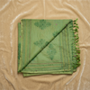 Pure Aura Cotton Saree