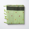 Pista Noor Vatika Saree