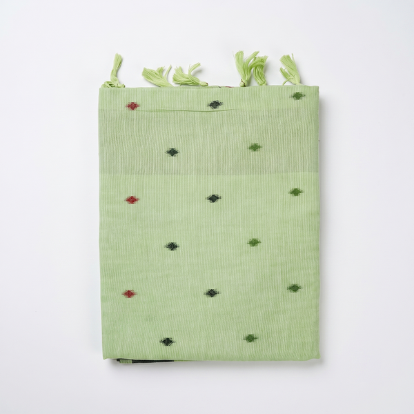 Pista Noor Vatika Saree