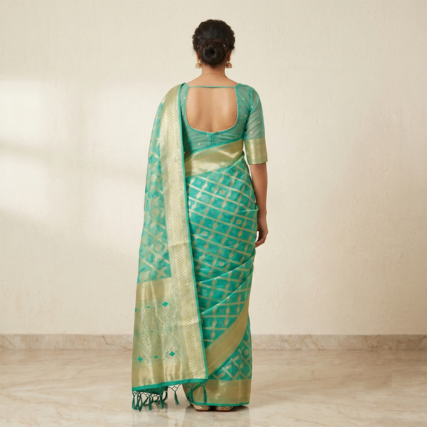 Rajsi Neelika Saree