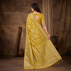 Aavira Zari Saree