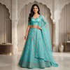 Ethnic Embroidered Lehenga