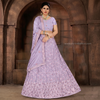 Ariya Embroidered Lehenga Set