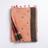 Noor Vatika Saree
