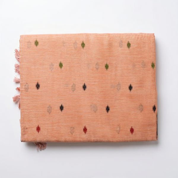 Noor Vatika Saree