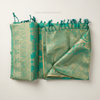 Aavira Zari Saree