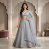 Ethnic Embroidered Lehenga