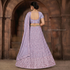Ariya Embroidered Lehenga Set