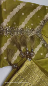 Noorika Olive Grace Suit Set